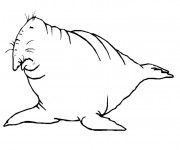 Coloriage Un &eacute;l&eacute;phant de Mer