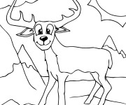 Coloriage Animal de Montagne