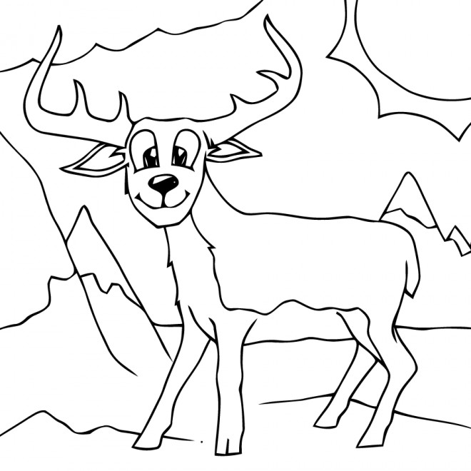 Coloriage Animal De Montagne Dessin Gratuit à Imprimer