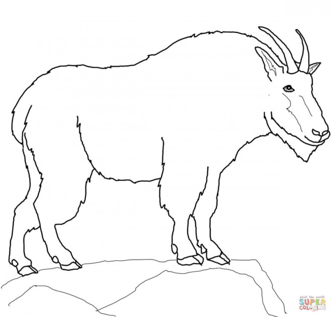 Coloriage et dessins gratuits Animal de Montagne à colorier à imprimer