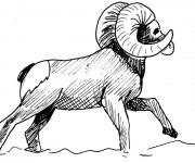 Coloriage Animaux de Montagne maternelle