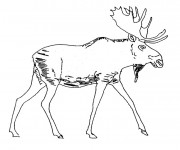 Coloriage Le Cerf facile