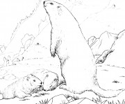 Coloriage et dessins gratuit Montagne et animaux à imprimer