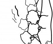 Coloriage Rochers vecteur