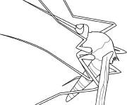 Coloriage Insecte petit moustique