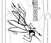 Coloriage Moustique en attaque