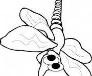 Coloriage Moustique et son regard qui fait rire