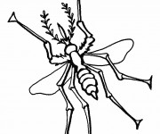 Coloriage Moustique Insecte stylis&eacute;