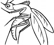 Coloriage Moustique maternelle