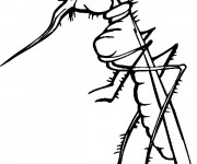 Coloriage Moustique qui pique