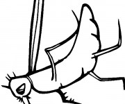 Coloriage Moustique se repose