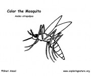 Coloriage Moustique suce le sang