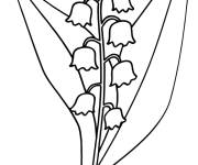 Coloriage et dessins gratuit Amuser vous à colorier les fleurs muguet à imprimer