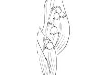 Coloriage Bon 1er mai muguet gratuit