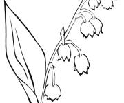 Coloriage Branche de muguet 1er mai