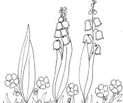 Coloriage Branches de muguet pendant le printemps