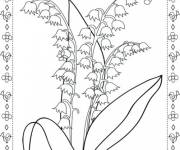 Coloriage Colorions les brins de muguet de printemps