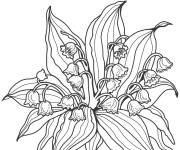 Coloriage Fleur Muguet grande section
