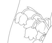 Coloriage Fleur Muguet maternelle