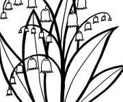 Coloriage Fleurs Muguet de France