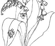 Coloriage Fleurs muguet petite section