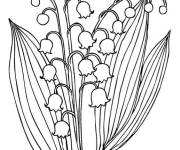 Coloriage Fleurs Muguet pour les amoureux