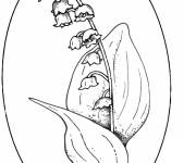 Coloriage Image de joli fleur muguet