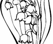 Coloriage Joli fleurs de Muguet