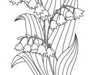 Coloriage Joli Muguet porte bonheur