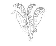 Coloriage Les bourgeons de muguet facile &agrave; colorier