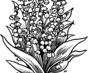 Coloriage Les charmantes fleurs muguet 1er mai