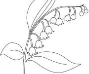 Coloriage les cloches de Muguet se transforment en lanternes rondes