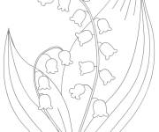 Coloriage Les petites fleurs printani&egrave;res muguet
