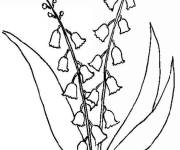 Coloriage Magnifique fleurs de Muguet