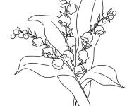 Coloriage Muguet 1er mai, fleur porte bonheur