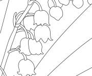 Coloriage Muguet 1er Mai gratuit