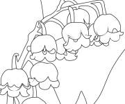 Coloriage Muguet 1er Mai pour les petits