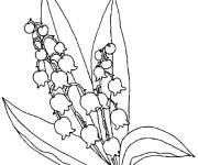 Coloriage Muguet 1er Mai symbole d'amour
