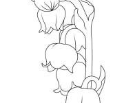 Coloriage Muguet &agrave; dessiner