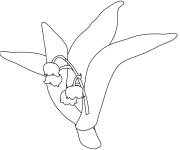 Coloriage Muguet Ar&ocirc;me magique