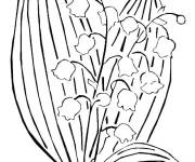 Coloriage Muguet avec les baies rouges