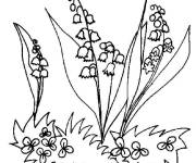 Coloriage Muguet clairière aux fleurs rares