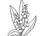 Coloriage Muguet cloches de la foret