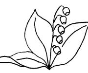 Coloriage Muguet commence &agrave; pousser