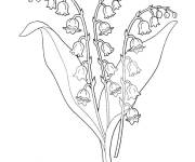 Coloriage Muguet en couleur