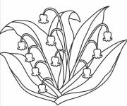 Coloriage Muguet en couleur blanche