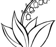 Coloriage Muguet fleur parfum&eacute;