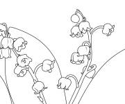 Coloriage Muguet fleur pour enfants