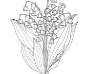 Coloriage Muguet fleuri pendant le moi de Mai
