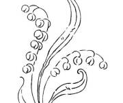 Coloriage Muguet fleurs au crayon